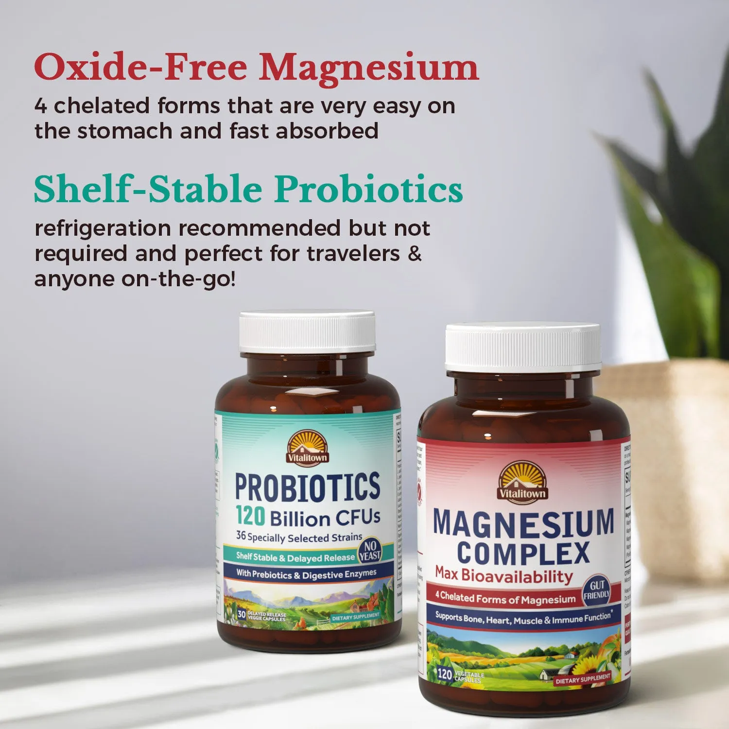 Magnesium   Probiotic Bundle