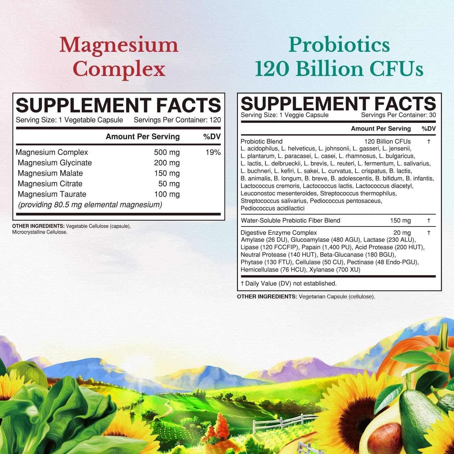 Magnesium   Probiotic Bundle