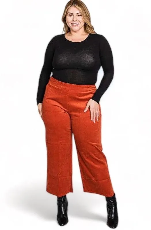 Plus Size Velvet Capri Pants